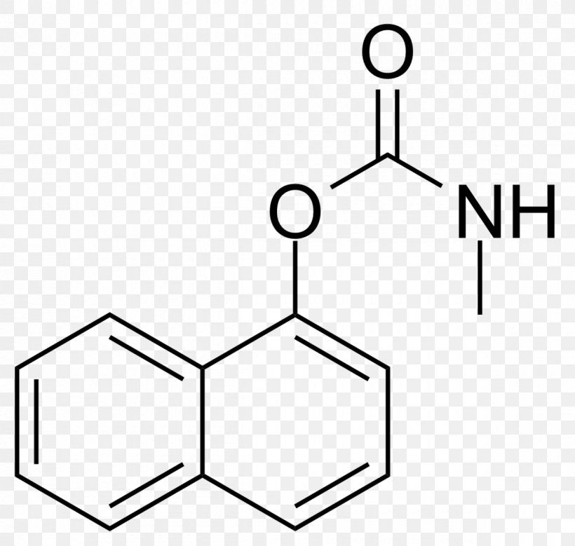 1-Naphthaleneacetic Acid 1-Naphthaleneacetamide 2-Chlorobenzoic Acid Auxin, PNG, 1200x1140px, 2chlorobenzoic Acid, 3nitrobenzoic Acid, 4nitrobenzoic Acid, Acid, Acetic Acid Download Free