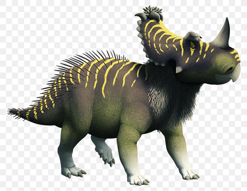Dinosaur Centrosaurus Coronosaurus Pachyrhinosaurus Late Cretaceous, PNG, 800x632px, Dinosaur, Animal, Carnivoran, Centrosaurus, Ceratopsia Download Free