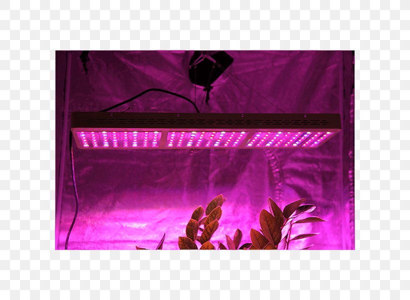 Grow Light Reflector Light-emitting Diode LED Lamp, PNG, 800x600px, Light, Compact Fluorescent Lamp, Diffuser, Epistar, Grow Light Download Free