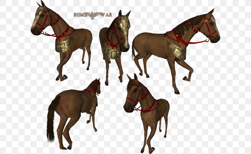 Mount & Blade: Warband Horse Stallion Foal, PNG, 620x502px, Mount Blade Warband, Bridle, Carnivoran, Colt, Dog Download Free