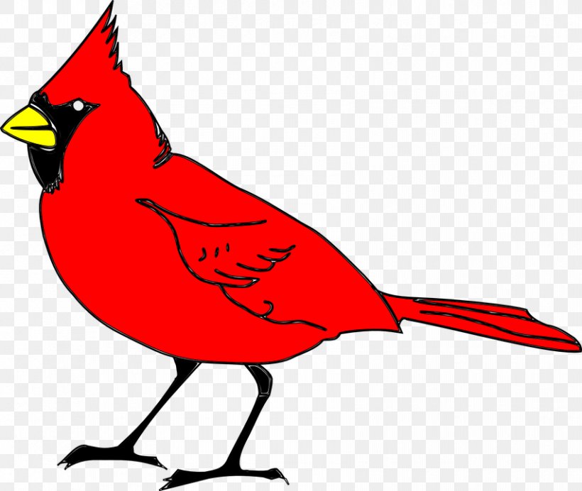 Northern Cardinal St. Louis Cardinals Clip Art, PNG, 853x720px, Northern Cardinal, Artwork, Beak, Bird, Black And White Download Free