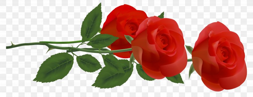 Rose Flower Clip Art, PNG, 6399x2464px, Rose, Blue Rose, Bud, Cut Flowers, Flower Download Free