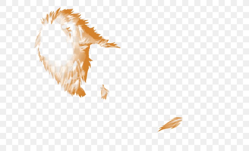Bird Of Prey Beak Desktop Wallpaper Feather, PNG, 640x500px, Bird, Beak, Bird Of Prey, Computer, Feather Download Free