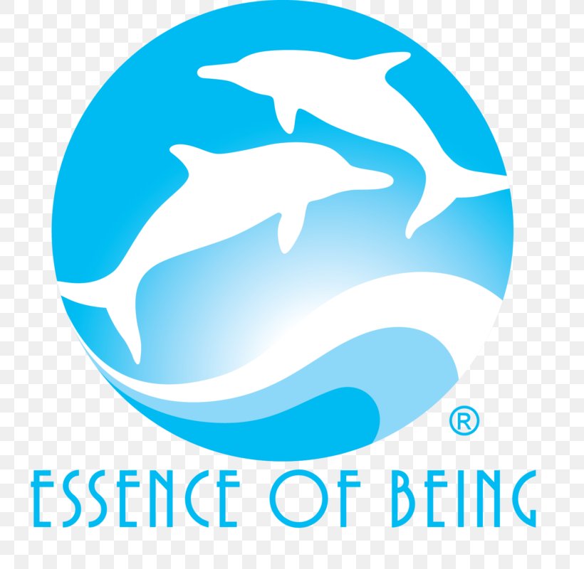 Essence Of Being Logo Brand Service, PNG, 738x800px, Logo, Aqua, Area, Being Inc, Blue Download Free
