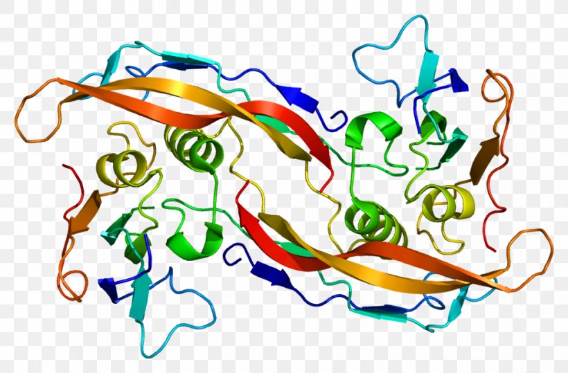 BMPR1A Bone Morphogenetic Protein Receptor Wnt Signaling Pathway, PNG, 991x652px, Protein, Area, Art, Artwork, Bone Morphogenetic Protein Download Free