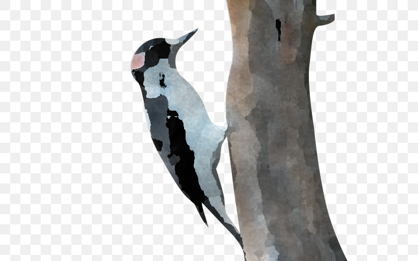 Penguins Woodpeckers Birds Flightless Bird Beak, PNG, 768x512px, Penguins, Beak, Biology, Birds, Flightless Bird Download Free