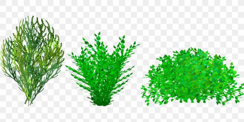 Shrub Clip Art, PNG, 960x480px, Shrub, Aquarium Decor, Blog, Commodity, Garden Download Free