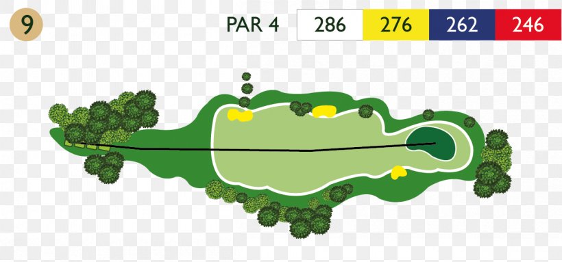 Golf D'Abbeville Golf Course Golf Clubs, PNG, 1201x561px, Abbeville, Accommodation, Amphibian, Cartoon, Frog Download Free
