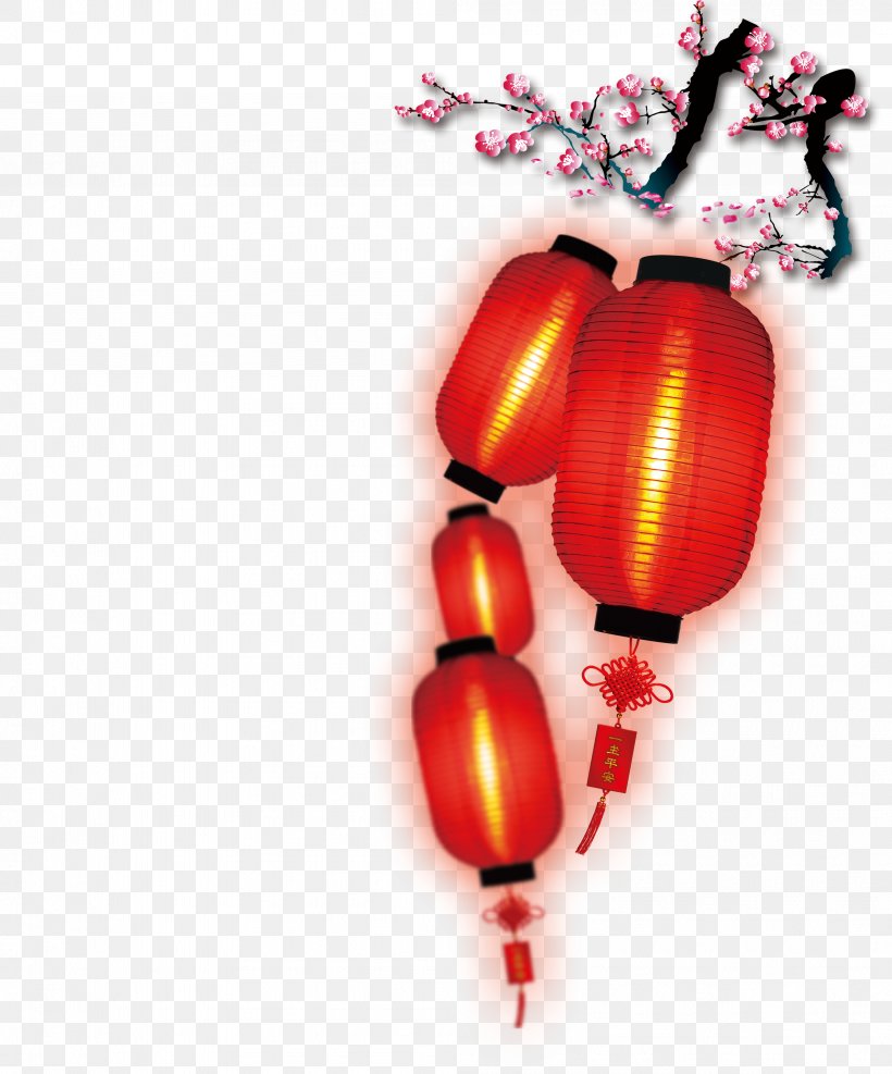 Lantern Festival New Year, PNG, 4016x4835px, Lantern, Chinese New Year, Christmas Ornament, Dragon Dance, Fruit Download Free