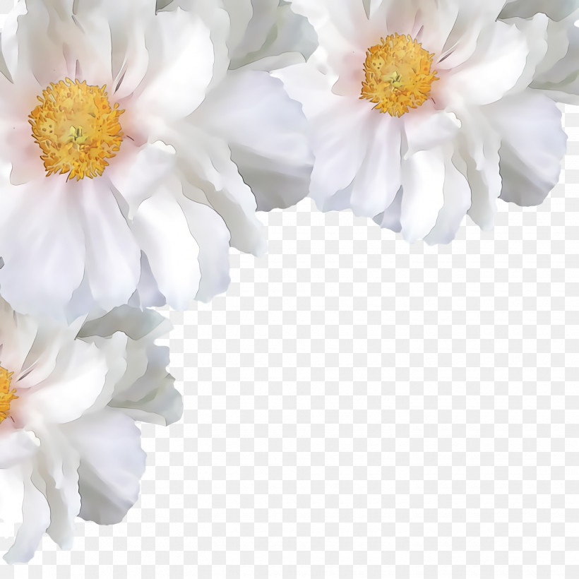 Rose, PNG, 1440x1440px, Floristry, Common Daisy, Cut Flowers, Daisy Family, Flower Download Free
