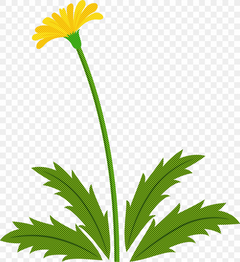 Dandelion Flower Easter Day Flower Spring Flower, PNG, 2754x3000px, Dandelion Flower, Chamomile, Daisy Family, Easter Day Flower, English Marigold Download Free