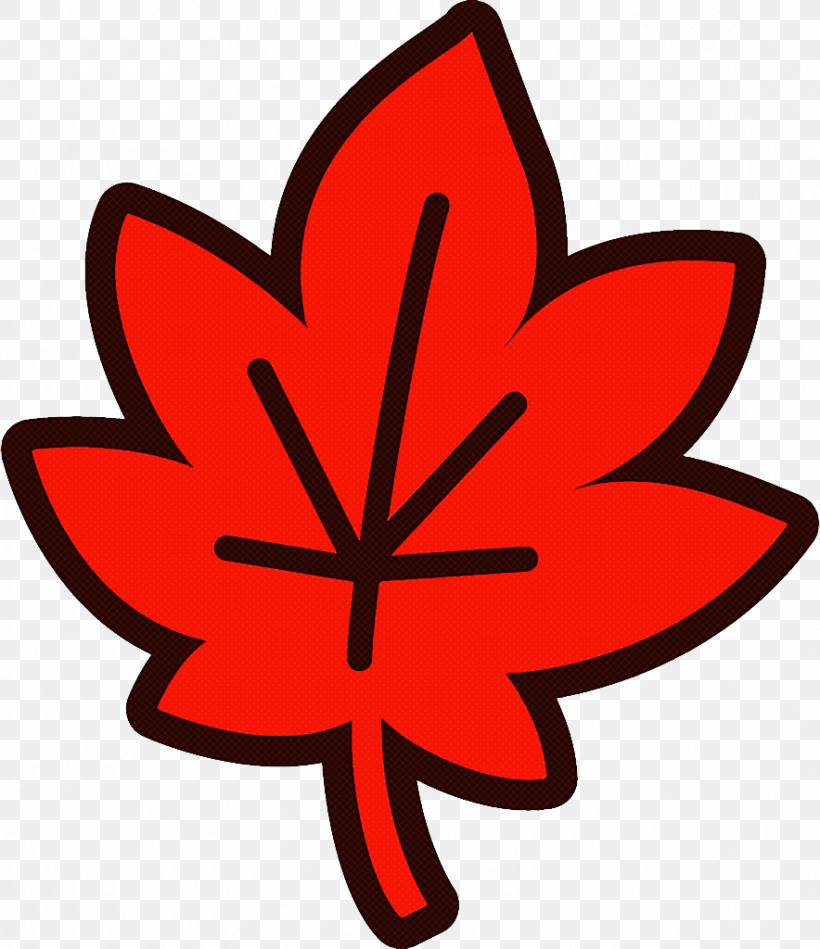 Maple Leaf Fallen Leaf Dead Leaf, PNG, 884x1024px, Maple Leaf, Autumn Leaf, Dead Leaf, Fallen Leaf, Flower Download Free