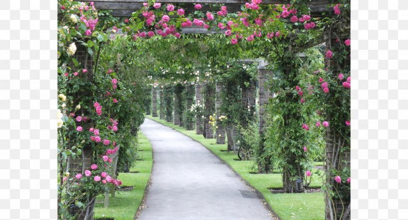 Pergola Royal Botanic Gardens, Kew Vine Rose, PNG, 1228x662px, Pergola, Backyard, Botanical Garden, Flora, Flower Download Free