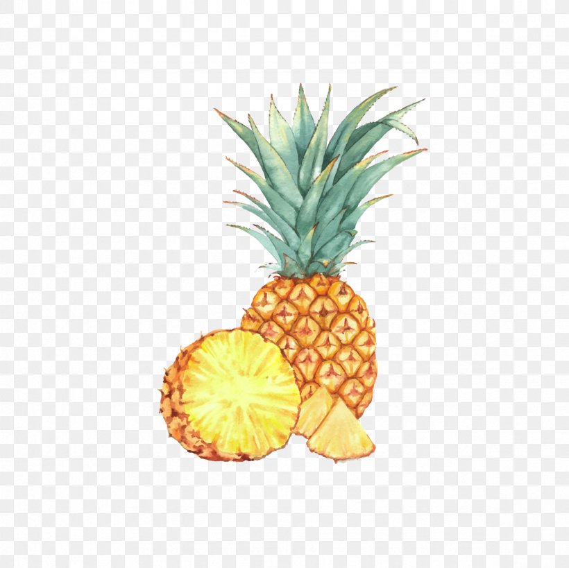Watercolor Painting Fruit Drawing Illustration, PNG, 2362x2362px, Watercolor Painting, Ananas, Art, Bromeliaceae, Creative Market Download Free