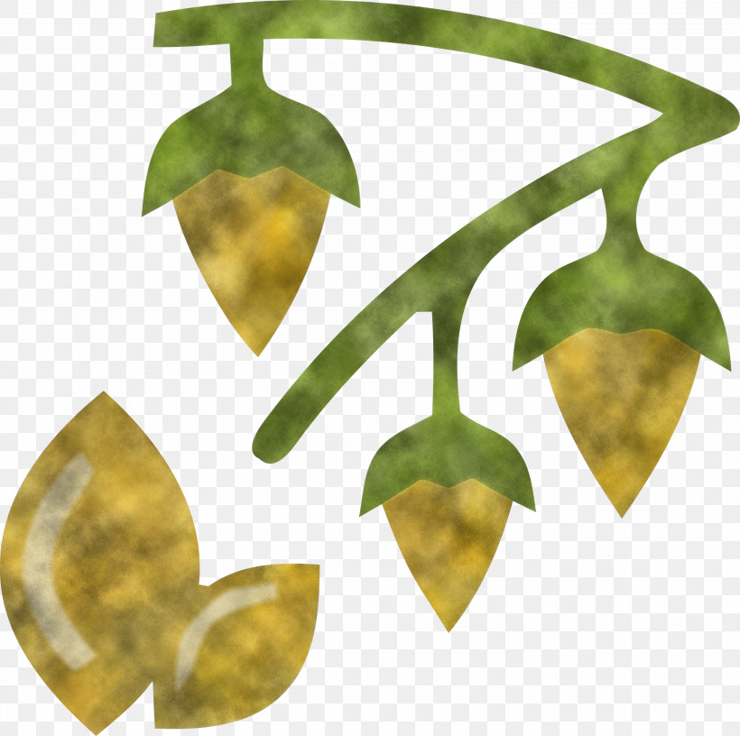 Pongal, PNG, 3000x2988px, Pongal, Biology, Fruit, Leaf, Plant Structure Download Free