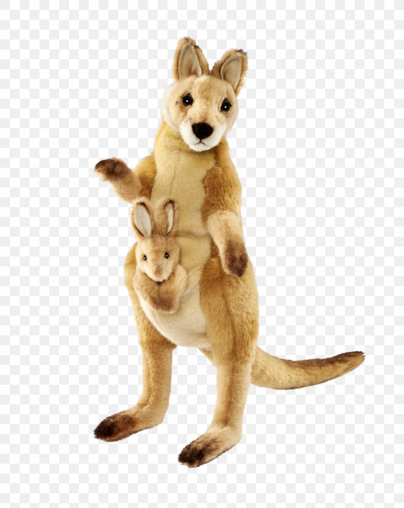 Red Fox Cat Kangaroo Stuffed Animals & Cuddly Toys Tail, PNG, 1630x2048px, Red Fox, Animal Figure, Carnivoran, Cat, Cat Like Mammal Download Free