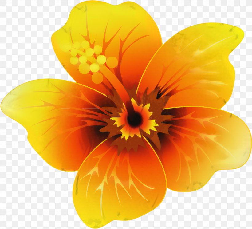 Violet Flower, PNG, 1278x1162px, Flower, Adobe After Effects, Herbaceous Plant, Orange, Pansy Download Free