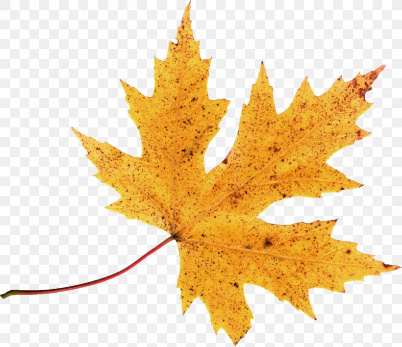 Autumn Leaf Color Clip Art, PNG, 1188x1026px, Autumn, Autumn Leaf Color, Brush, Leaf, Maple Leaf Download Free
