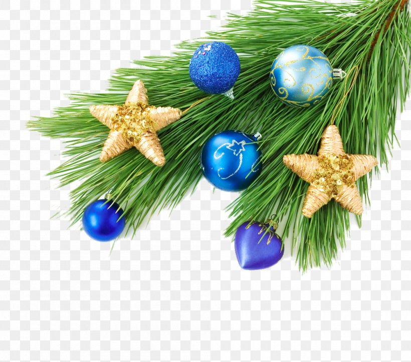 Christmas Tree New Year Christmas Lights Christmas Ornament Wallpaper, PNG, 1000x882px, Christmas Tree, Advent Wreath, Branch, Christmas Decoration, Christmas Lights Download Free