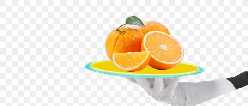 Clementine Mandarin Orange Tangerine Food Peel, PNG, 993x425px, Clementine, Acid, Citric Acid, Citrus, Diet Download Free