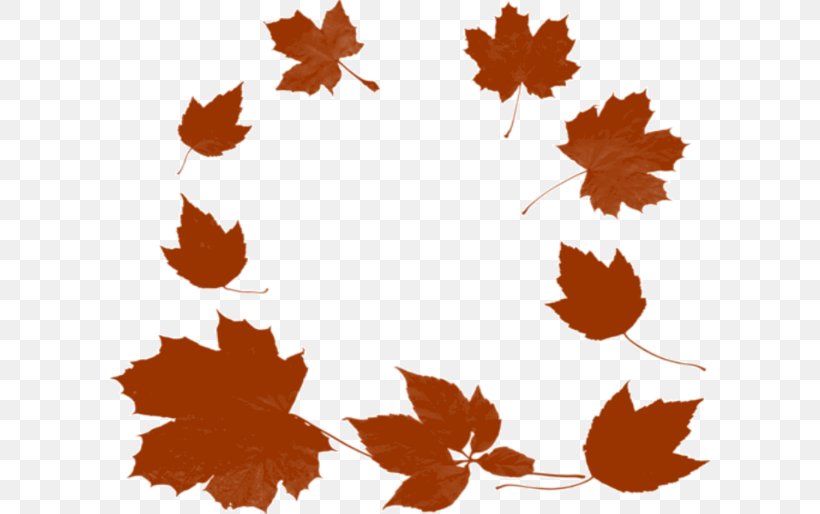 Maple Leaf Photography Clip Art, PNG, 600x514px, Maple Leaf, Autumn, Flower, Flowering Plant, Leaf Download Free