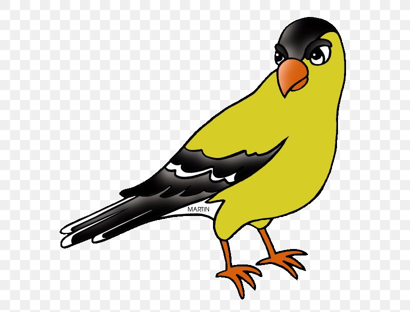 New Jersey European Goldfinch Bird Clip Art, PNG, 648x624px, New Jersey, American Goldfinch, Artwork, Beak, Bird Download Free