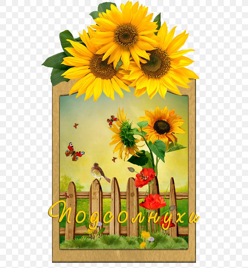 Wedding Invitation Paper Common Sunflower Greeting & Note Cards, PNG, 550x884px, Wedding Invitation, Birthday, Common Sunflower, Daisy Family, Floral Design Download Free