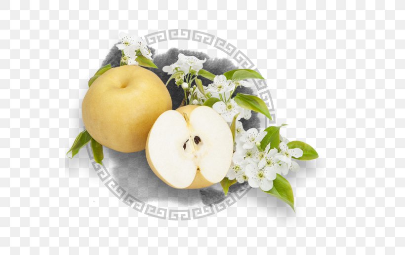 Laiyang Pear Poster, PNG, 558x517px, Laiyang, Apple, Floral Design, Flower, Food Download Free