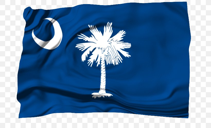 Flag Of South Carolina South Carolina Senate South Carolina Army National Guard, PNG, 750x500px, South Carolina, Blue, Cobalt Blue, Education, Electric Blue Download Free