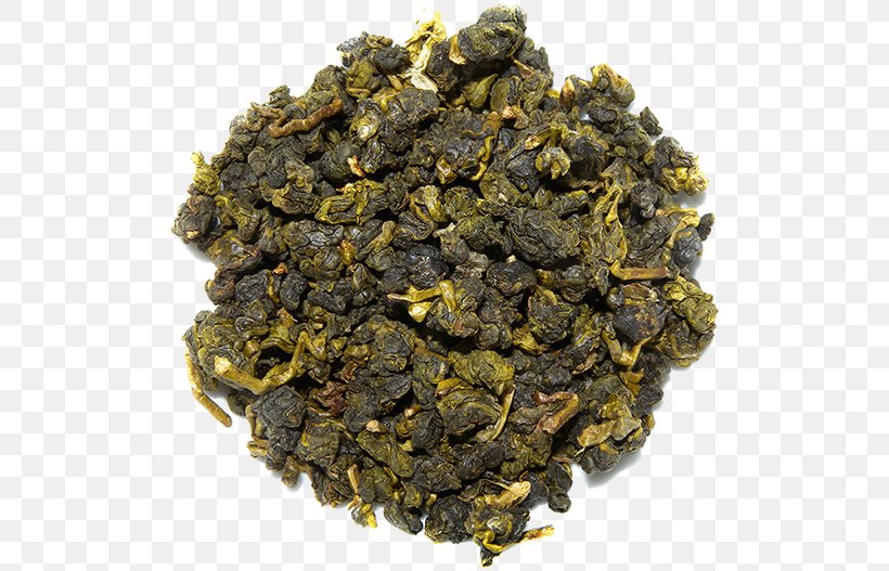 Tieguanyin Oolong Nilgiri Tea Gunpowder Tea, PNG, 516x527px, Tieguanyin, Assam Tea, Biluochun, Ceylan, Ceylon Tea Download Free