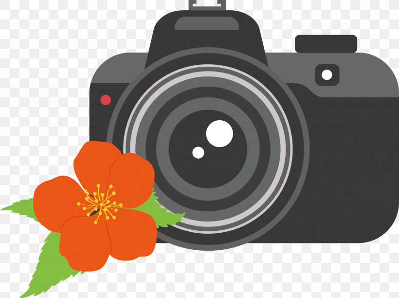 Camera Flower, PNG, 3000x2242px,  Download Free