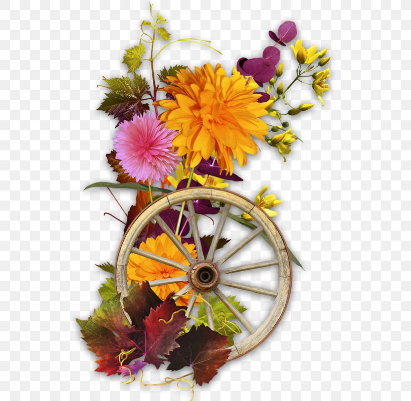 Desktop Wallpaper Blog, PNG, 533x800px, Blog, Chrysanths, Cut Flowers, Daisy Family, Drawing Download Free
