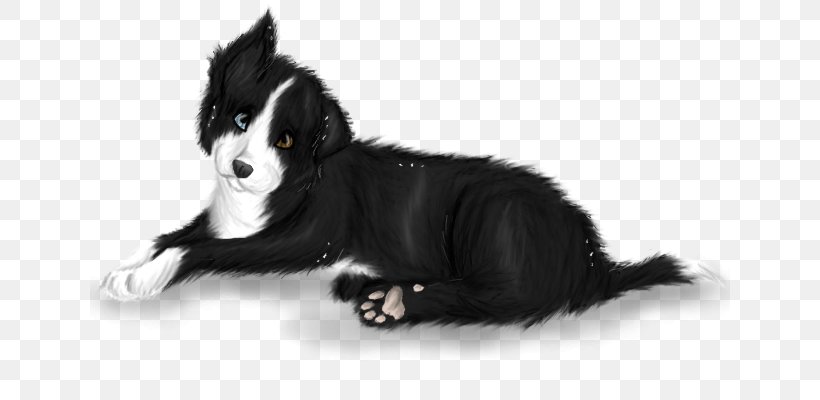 Dog Breed Border Collie Karelian Bear Dog Puppy Rough Collie, PNG, 640x400px, Dog Breed, Bear, Black, Black And White, Border Collie Download Free