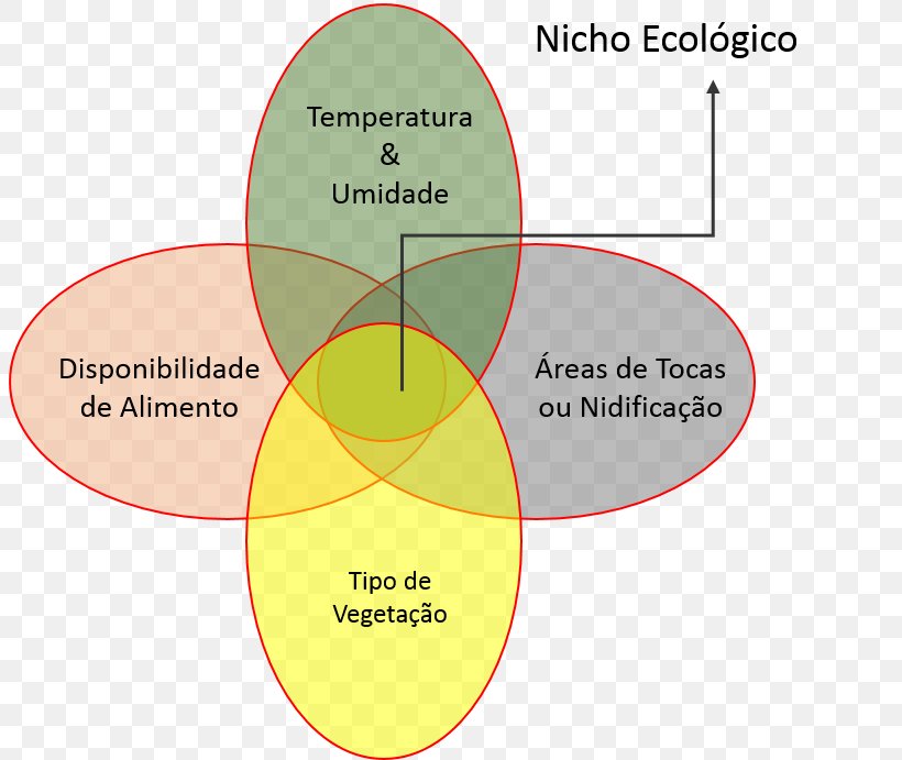 Ecological Niche Ecology Habitat Organism, PNG, 804x691px, Ecological Niche, Abiotic Component, Area, Biology, Biotic Component Download Free