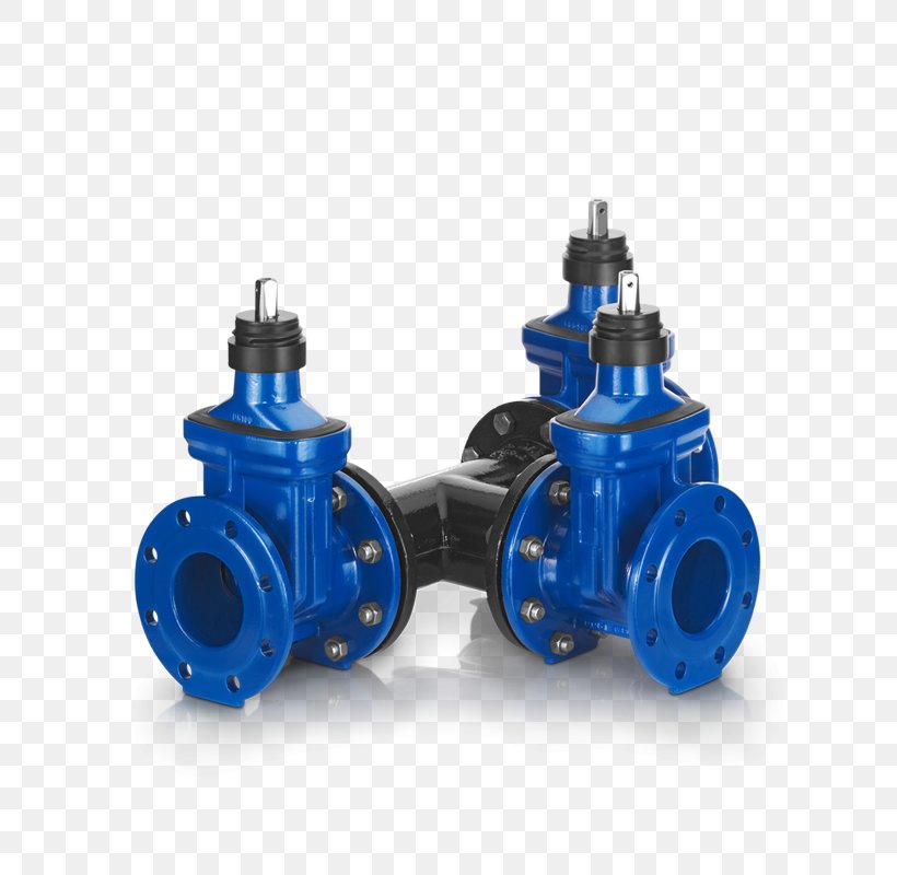 Valve Drinking Water Piping And Plumbing Fitting Tap Flange, PNG, 800x800px, Valve, Business, Common Fig, Drinking, Drinking Water Download Free