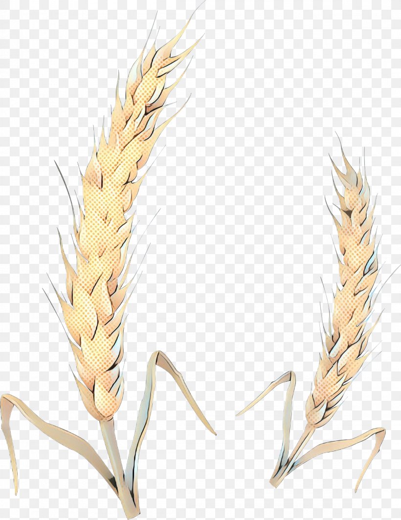 Wheat Cartoon, PNG, 2311x3000px, Pop Art, Barley, Cereal, Cereal Germ, Einkorn Wheat Download Free