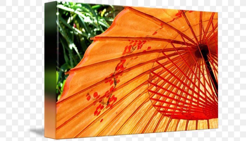 Close-up Fan, PNG, 650x472px, Closeup, Close Up, Decorative Fan, Fan, Flower Download Free