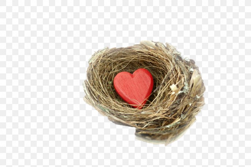 Heart Vecteur Gratis, PNG, 1100x733px, Heart, Bird Nest, Creativity, Designer, Festival Download Free