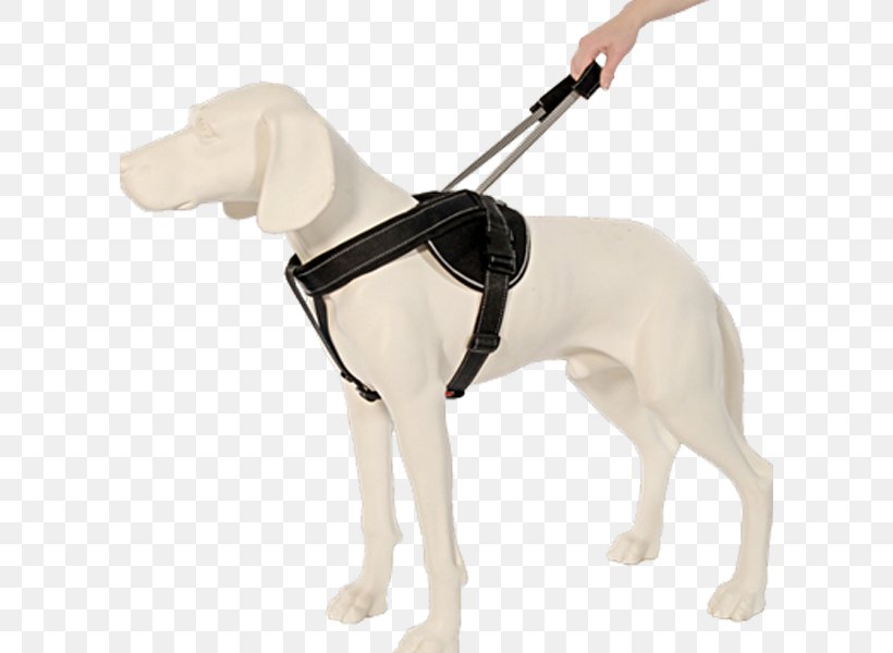 Leash Dog Harness Horse Harnesses Braces, PNG, 600x600px, Leash, Braces, Carnivoran, Climbing Harnesses, Clothing Download Free