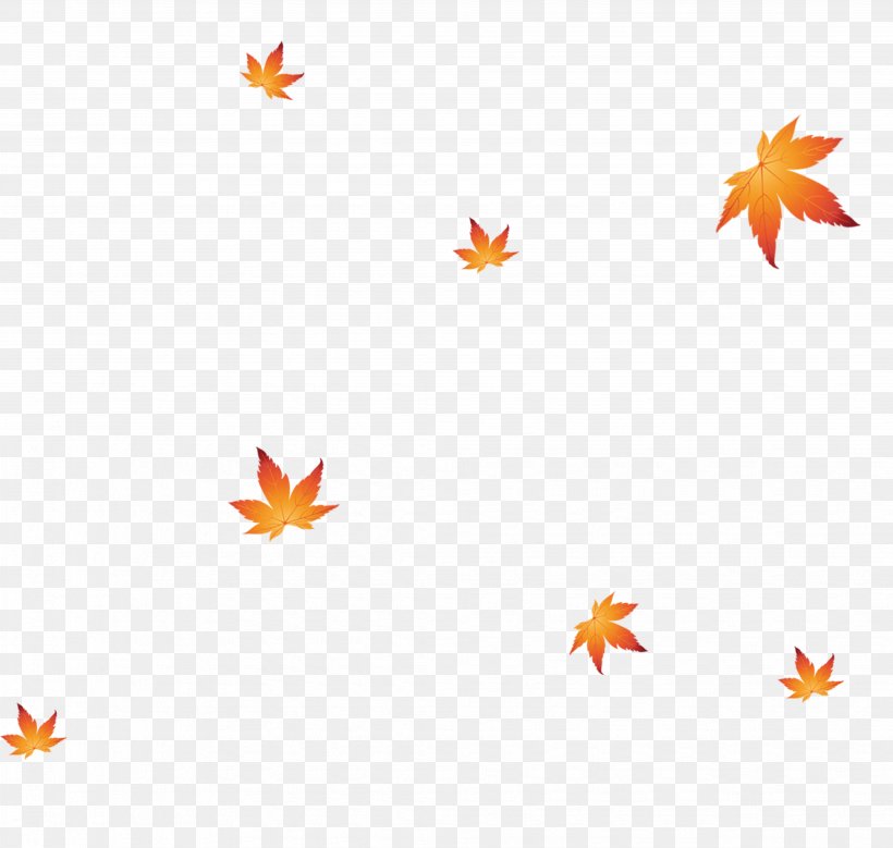 Shoe Maple Leaf, PNG, 4114x3912px, Shoe, Designer, Highheeled Footwear, Leaf, Maple Leaf Download Free