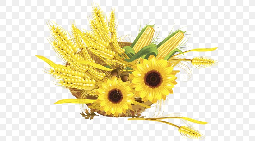 Common Sunflower Maize Wheat Harvest Clip Art, PNG, 600x455px, Common Sunflower, Bread, Commodity, Cut Flowers, Dandelion Download Free