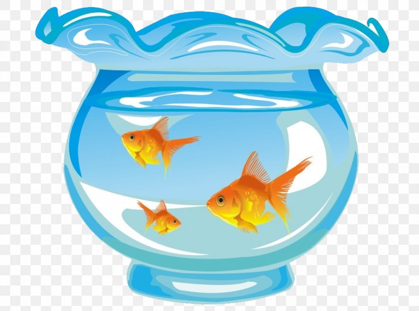 Goldfish Aquarium Fishkeeping, PNG, 886x660px, Goldfish, Aquarium, Bony Fish, Cuteness, Fish Download Free