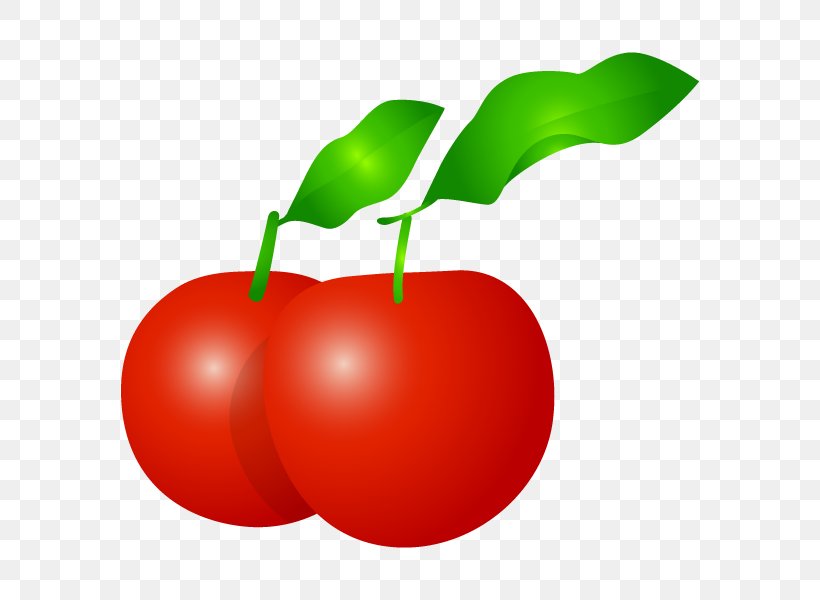 Illustration Barbados Cherry Food Clip Art Vegetable, PNG, 600x600px, Barbados Cherry, Acerola, Apple, Cherry, Diet Download Free