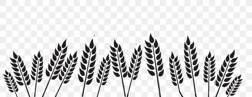 Black And White Wheat Organization, PNG, 1418x547px, Black And White, Agriculture, Commodity, Flowering Plant, Grass Download Free
