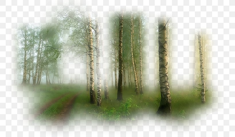 Landscape Painting Clip Art, PNG, 800x480px, Landscape Painting, Autumn, Biome, Emphasis, Forest Download Free