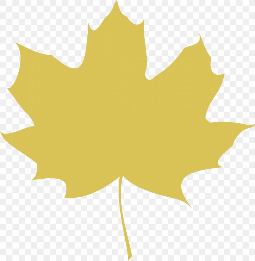Maple Leaf Autumn Leaf Color Clip Art, PNG, 2341x2400px, Maple Leaf, Autumn, Autumn Leaf Color, Flowering Plant, Leaf Download Free