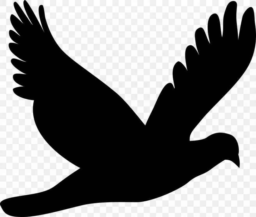Vector Graphics Clip Art Silhouette Pigeons And Doves Flight, PNG, 851x720px, Silhouette, Beak, Bird, Blackandwhite, Claw Download Free
