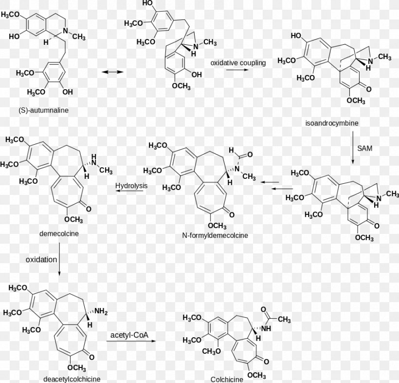 Colchicine Gout Pharmaceutical Drug Autumn Crocus Biosynthesis, PNG, 900x863px, Colchicine, Allopurinol, Area, Auto Part, Autumn Crocus Download Free