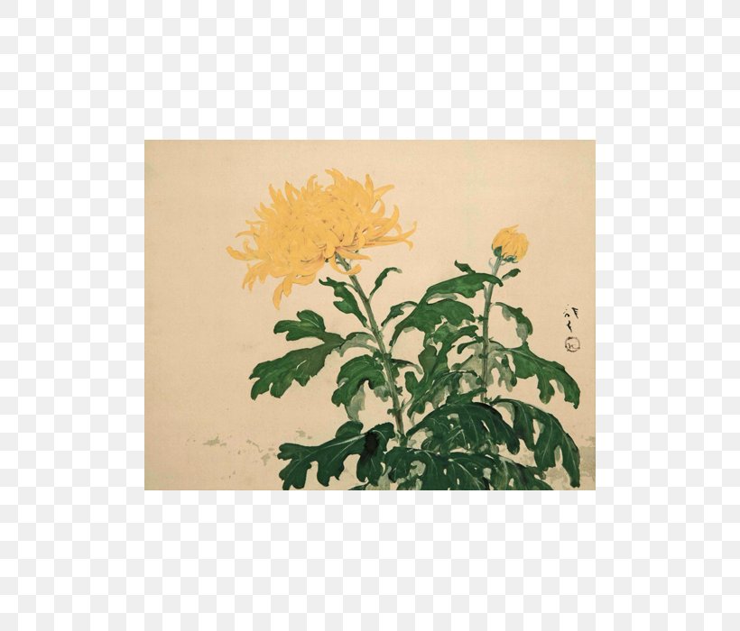 古美術 Hako 2 Painter Chrysanthemum Author, PNG, 500x700px, Painter, Author, Chrysanthemum, Chrysanths, Flora Download Free