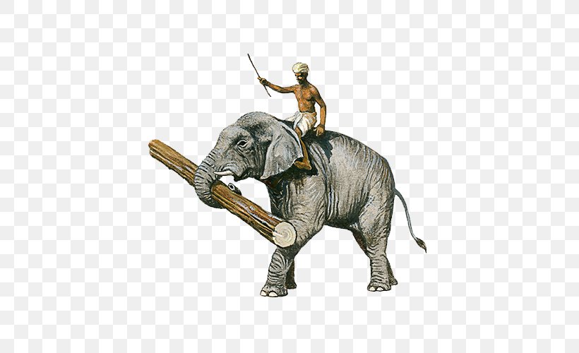 Indian Elephant African Elephant Illustration, PNG, 700x500px, Indian Elephant, African Elephant, Asian Elephant, Drawing, Elephant Download Free